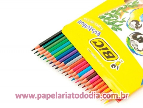 bic2